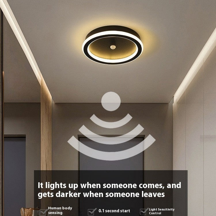 Infrared Motion Sensor Ceiling Light
