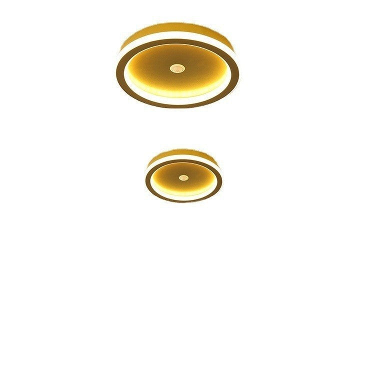 Infrared Motion Sensor Ceiling Light