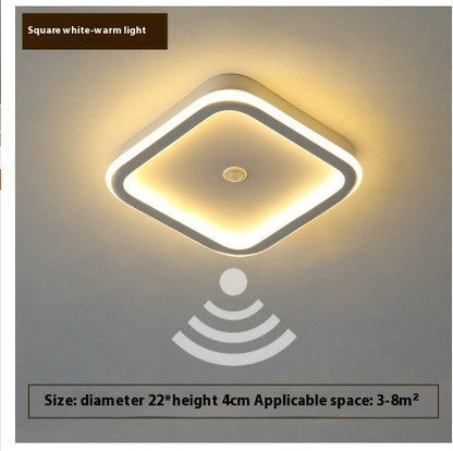 Infrared Motion Sensor Ceiling Light